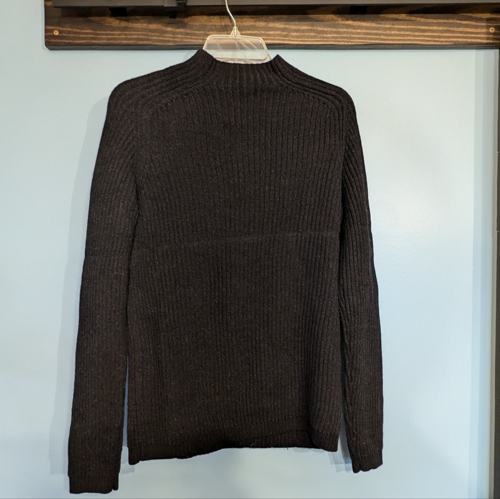 Express Merino Wool Turtle Neck Sweater